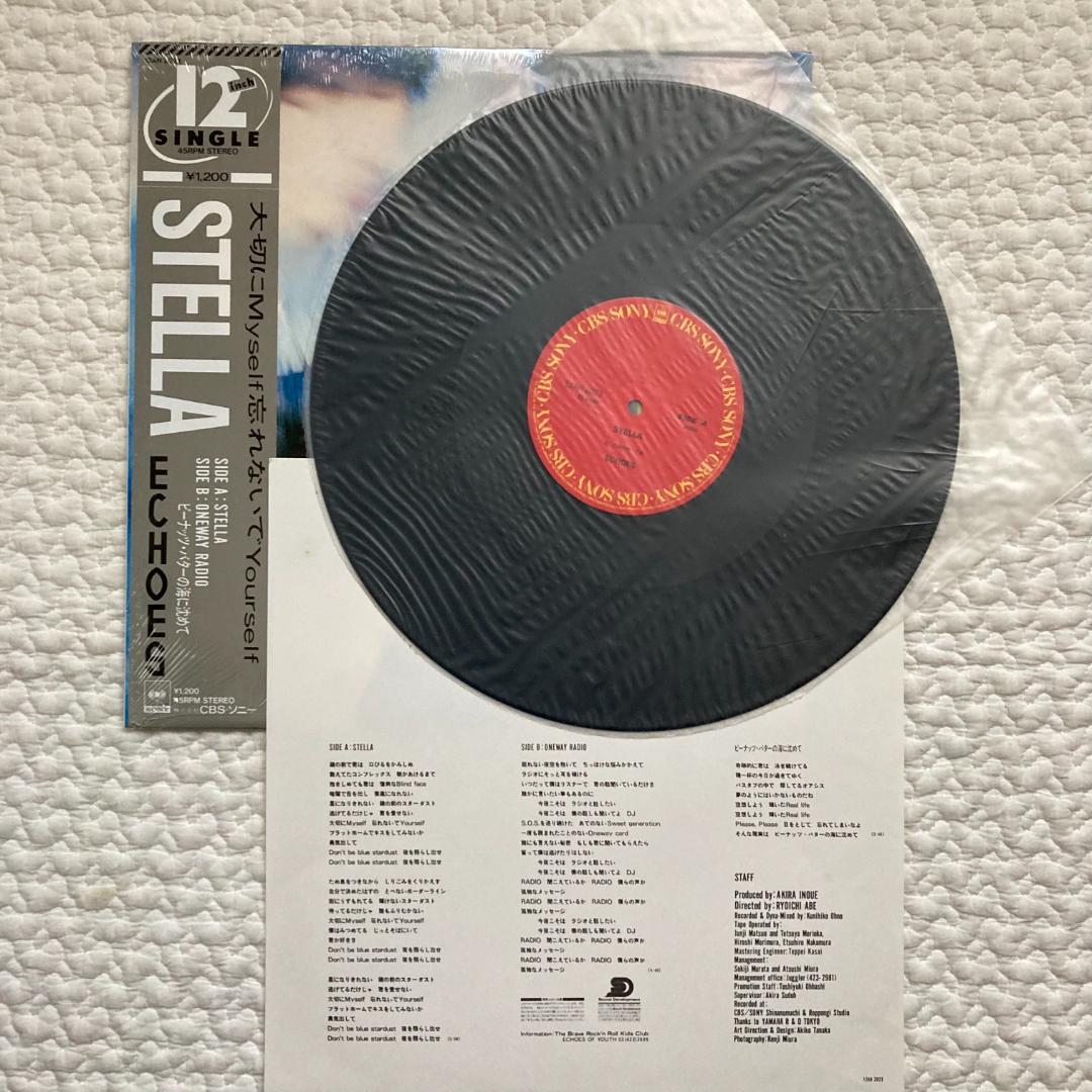 エコーズ 初期 アナログ レコード　5枚セット　辻仁成 　Jロック　シティポップ