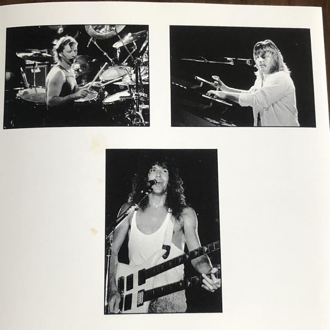 国内盤！ZEBRA/ゼブラ/ZEBRA LIVE/ゼブラ・ライヴ/1990年