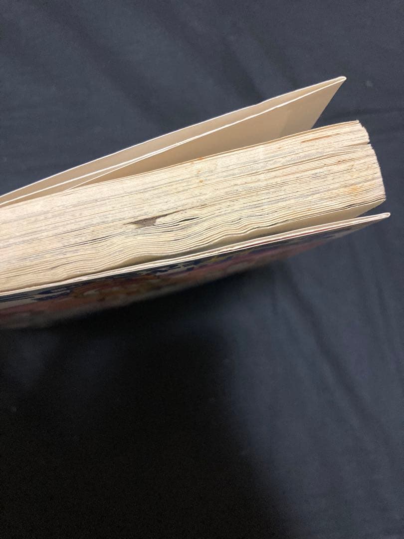 【送料無料】ザ・ドラえもんズスペシャル　10冊セット