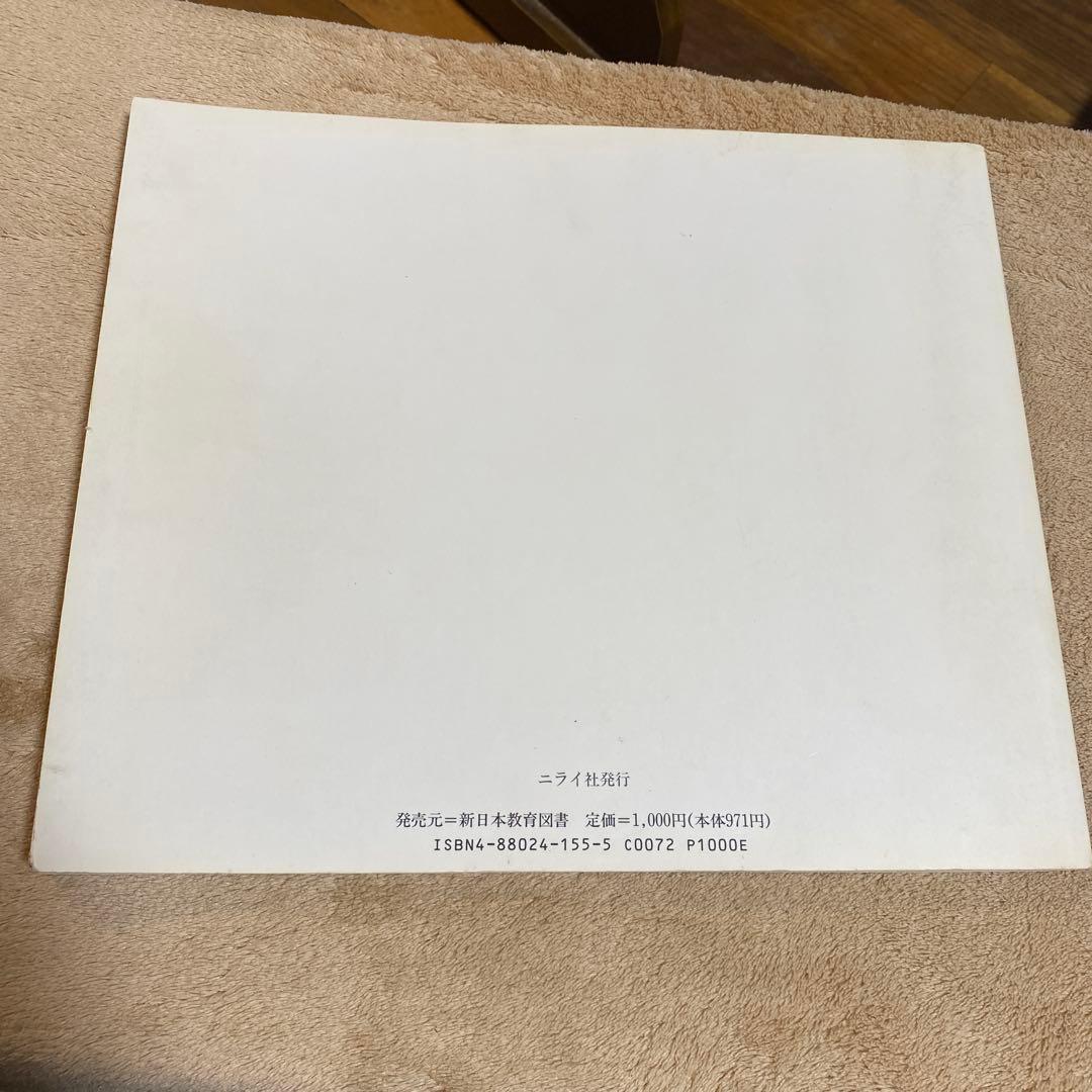 比嘉 康雄 生まれ島・沖縄: アメリカ世から日本世 比嘉康雄写真集