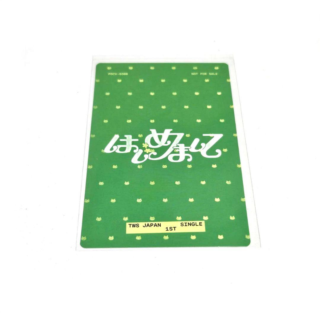 tws はじめまして シニュ ハンジン ハンリュズ