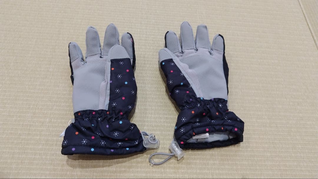 ICEPARDAL女性用スキーウェア