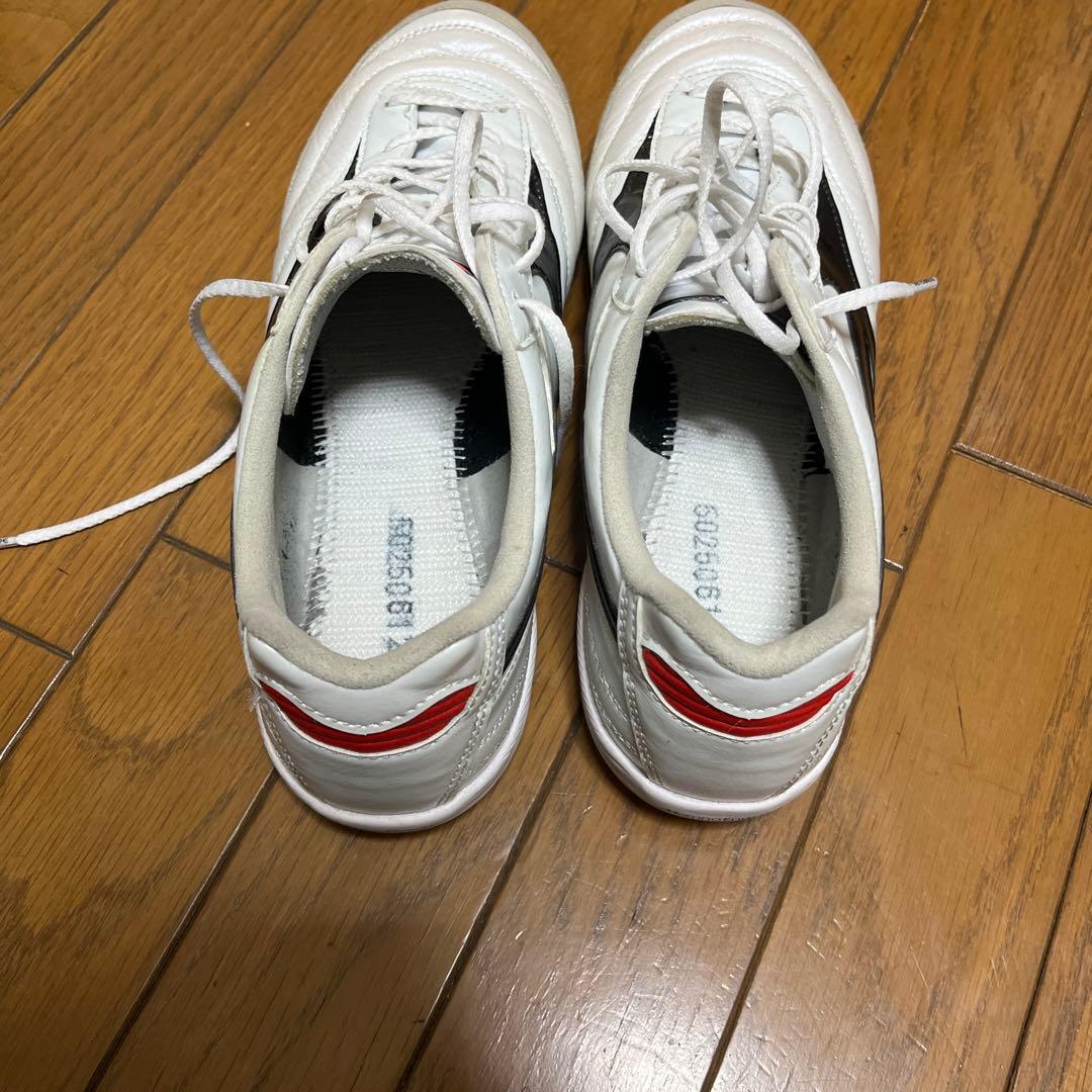 モレリア　サラ　エリートイン　26.5 インドア