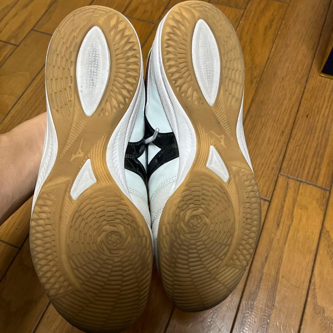 モレリア　サラ　エリートイン　26.5 インドア