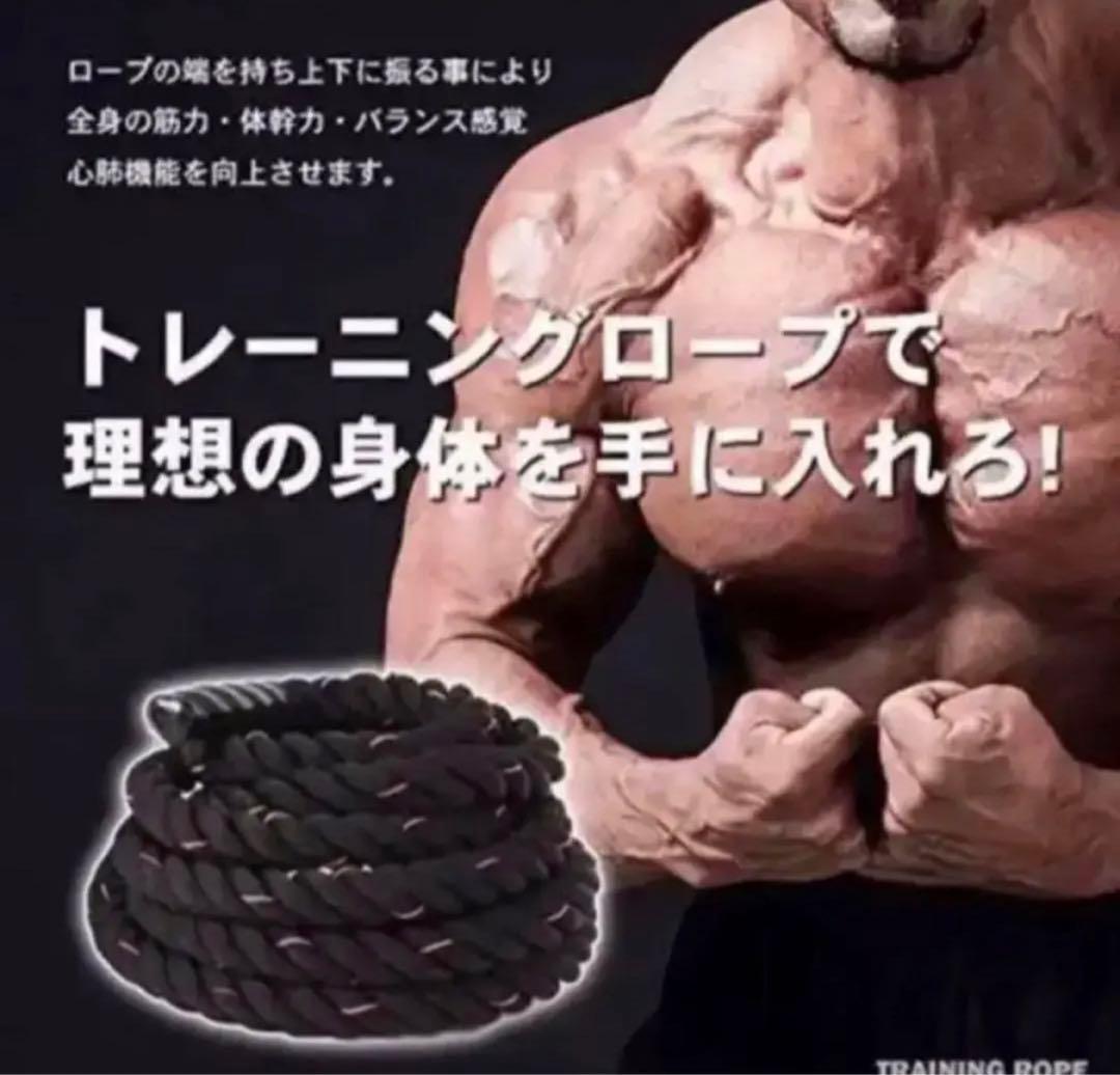 トレーニングロープ バトルロープ 38mm x 長さ15m プログレード 付き