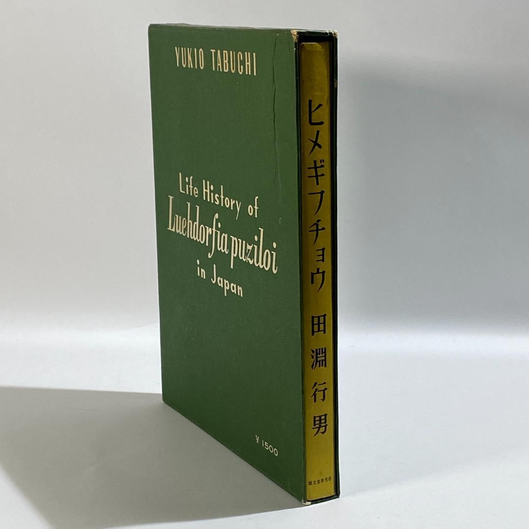 生態写真 ヒメギフチョウ 田淵行男