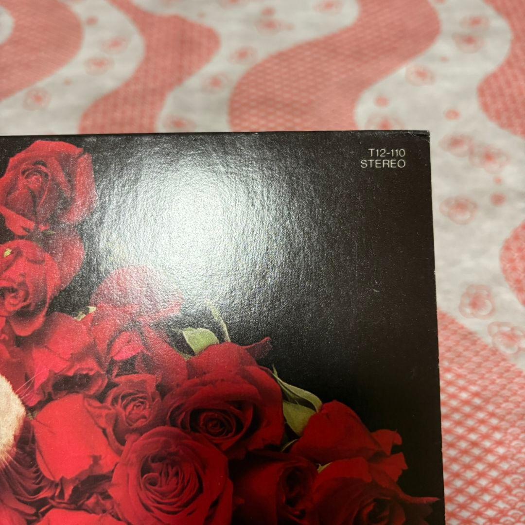 ROSE OR LOSE THE WILLARD 見本盤 アナログレコード LP