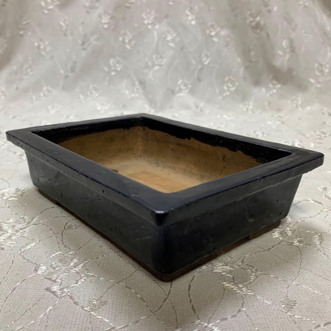 春節セール23日まで東福寺　長方　盆栽鉢