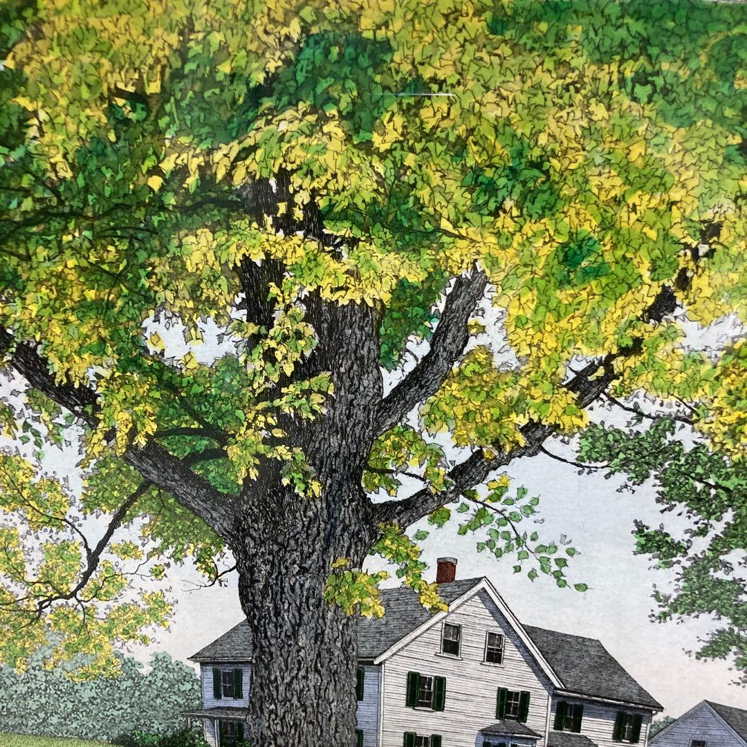 キャロル・コレット 絵画 Summer Day Ⅱ サイン入り