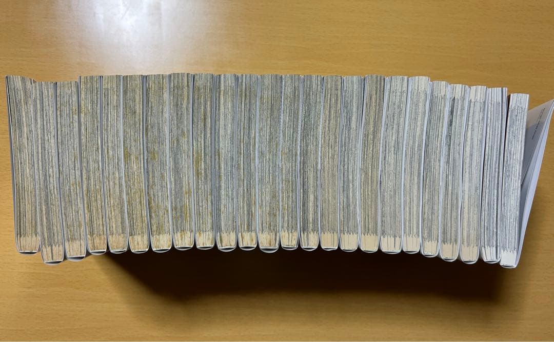 文豪ストレイドッグス1〜24巻