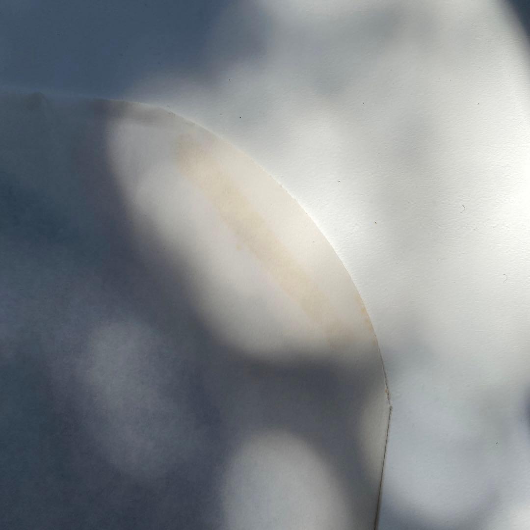 激レア レコード THE MILLENNIUM BEGIN