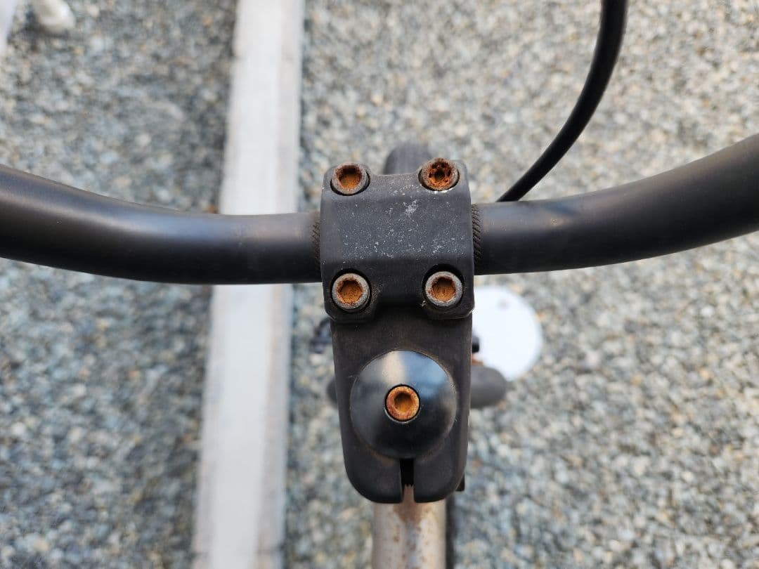 BMX ダーカスワン RAW