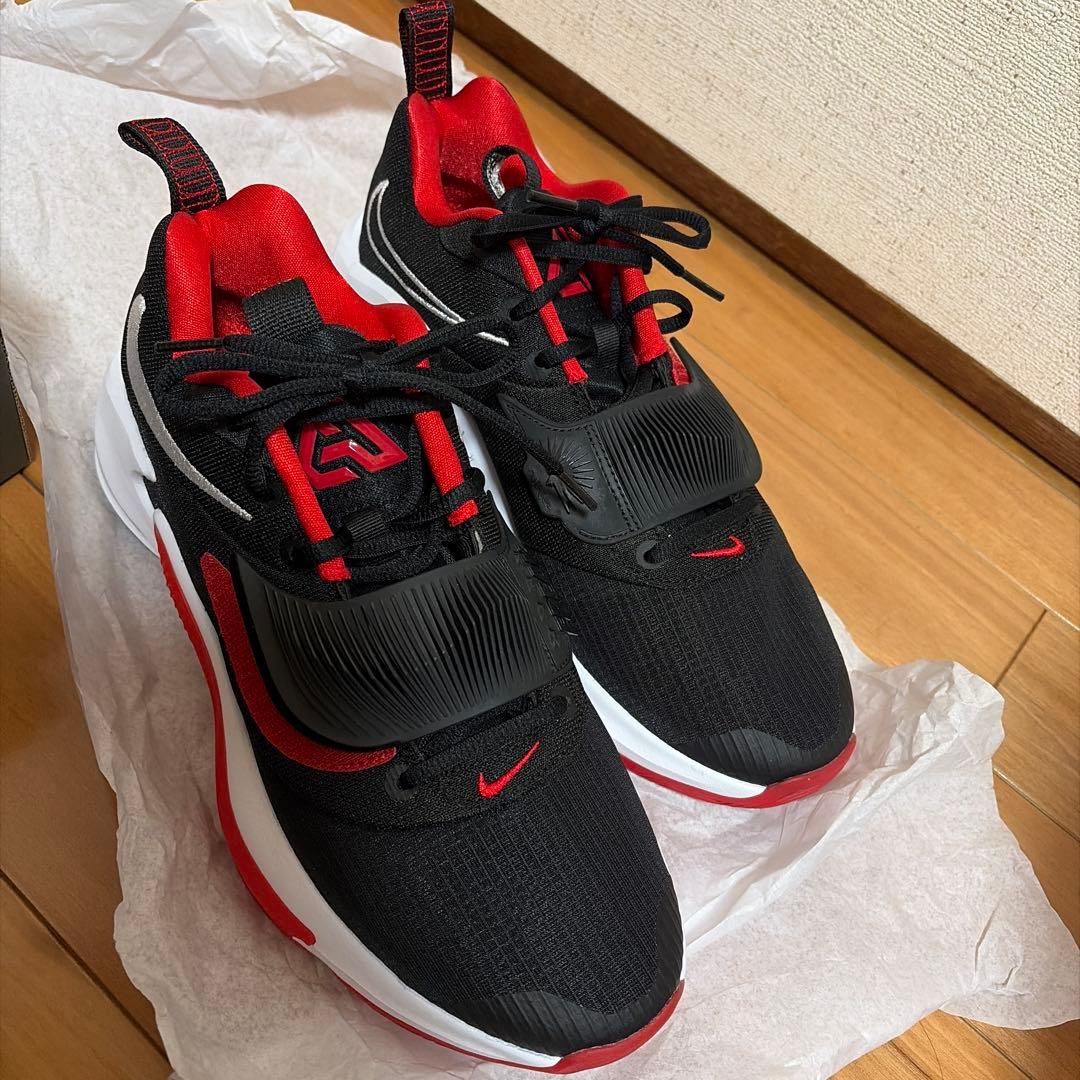 NIKE ズームフリーク3 バスケ