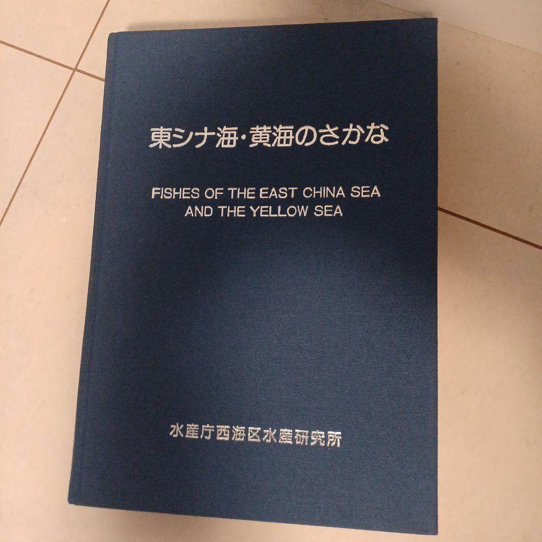 東シナ海、黄海のさかな