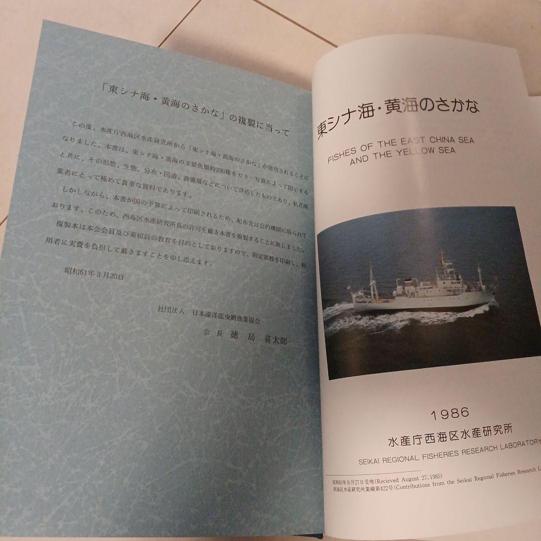 東シナ海、黄海のさかな