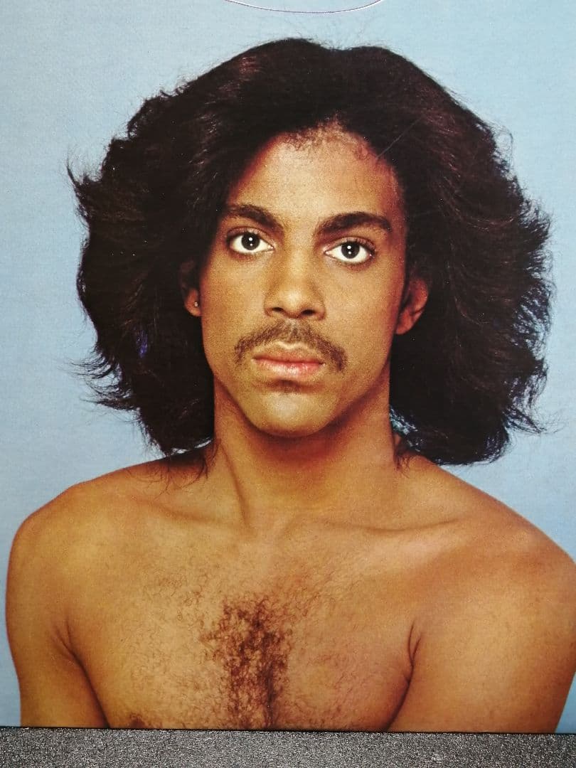 【79年 名盤】PRINCE プリンス SAME LP