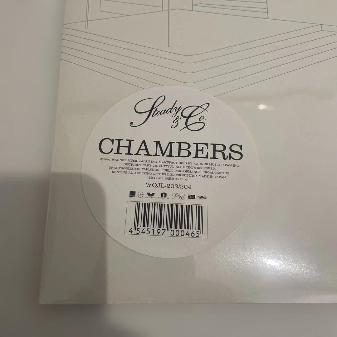 新品 Steady & Co. CHAMBERS LPレコードドラゴンアッシュ