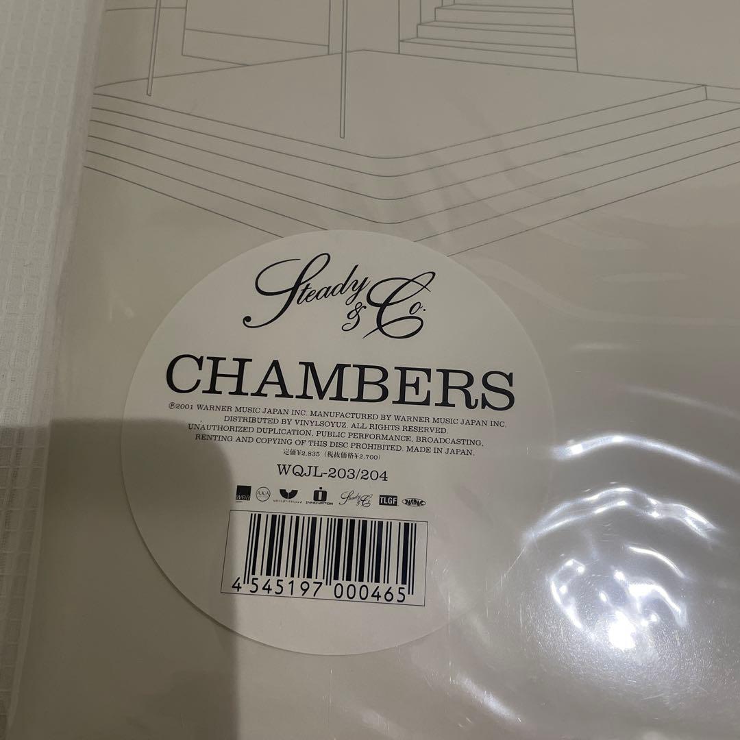 新品 Steady & Co. CHAMBERS LPレコードドラゴンアッシュ