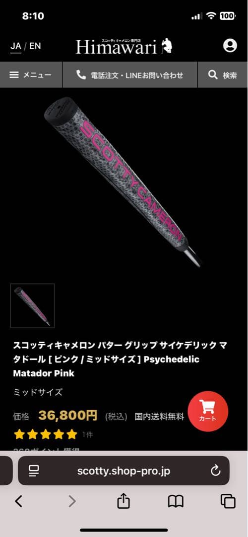 【希少品】スコッティキャメロン ホリデーコレクション2020 H20 ブラック