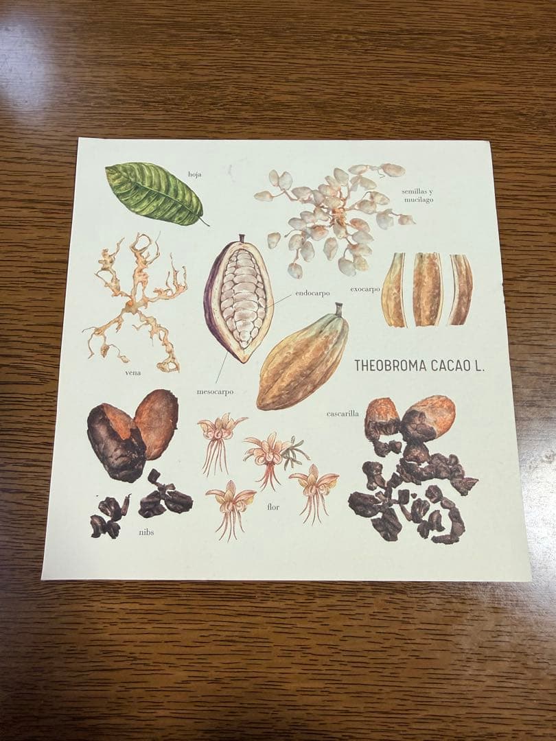 【非売品】世界1位レストラン Central（セントラル）リマ 本店 お土産本