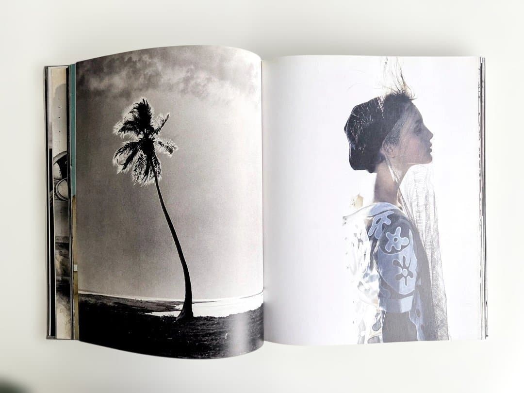 アート・デザイン・音楽 Photographs by Kelly 