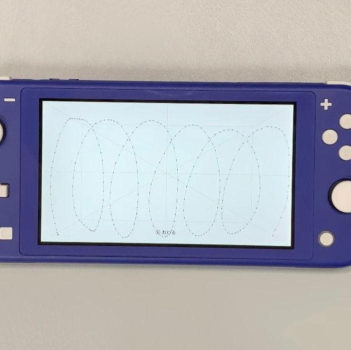 Nintendo Switch Lite 本体 動作品