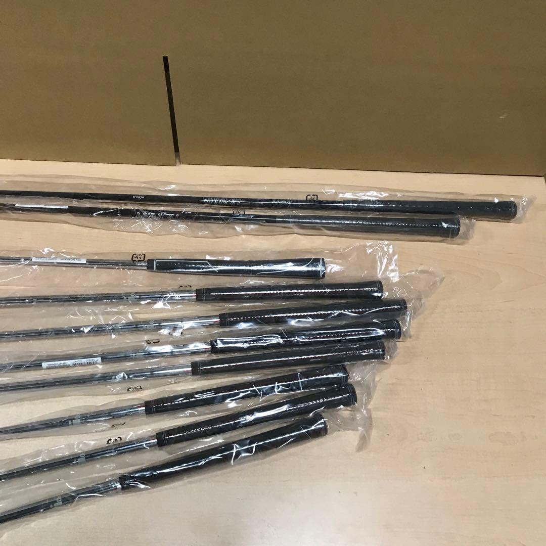 本間ゴルフ　キャディバッグ　クラブ10本セット　D1 (S)セット