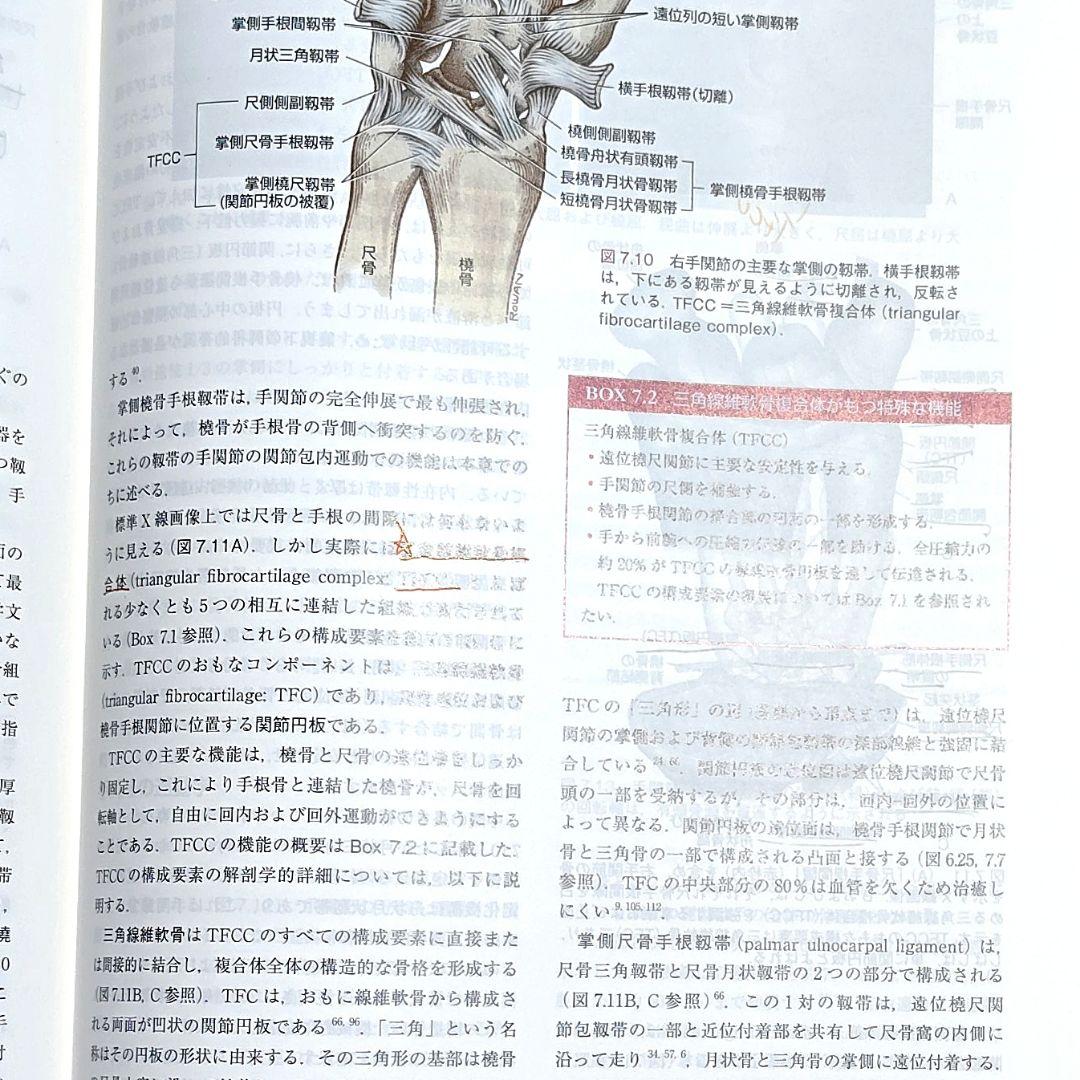 【コード未使用】 筋骨格系のキネシオロジー 原著第3版 身体運動学