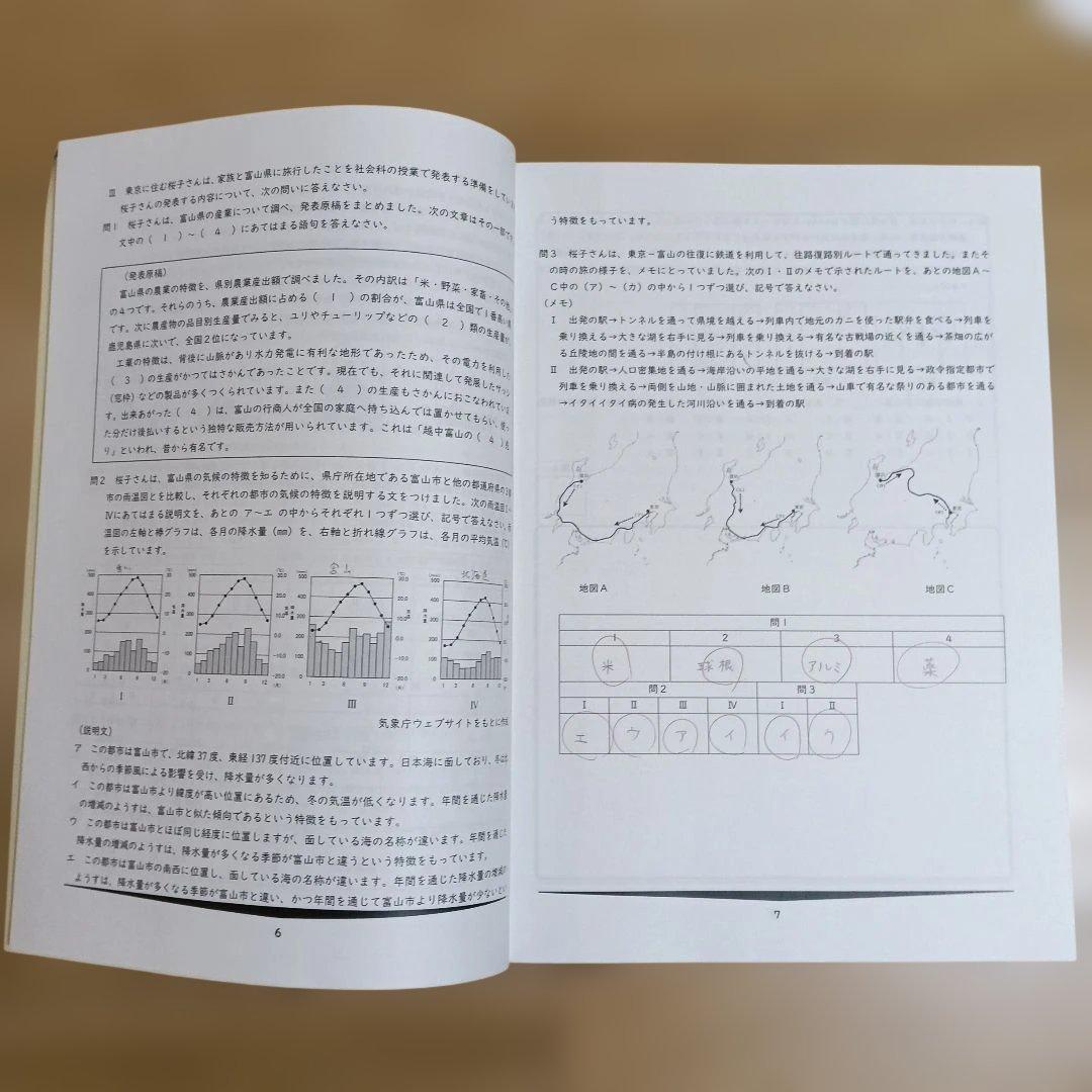 早稲田アカデミー　夏期集中特訓　桜蔭の国算理社　2025年度