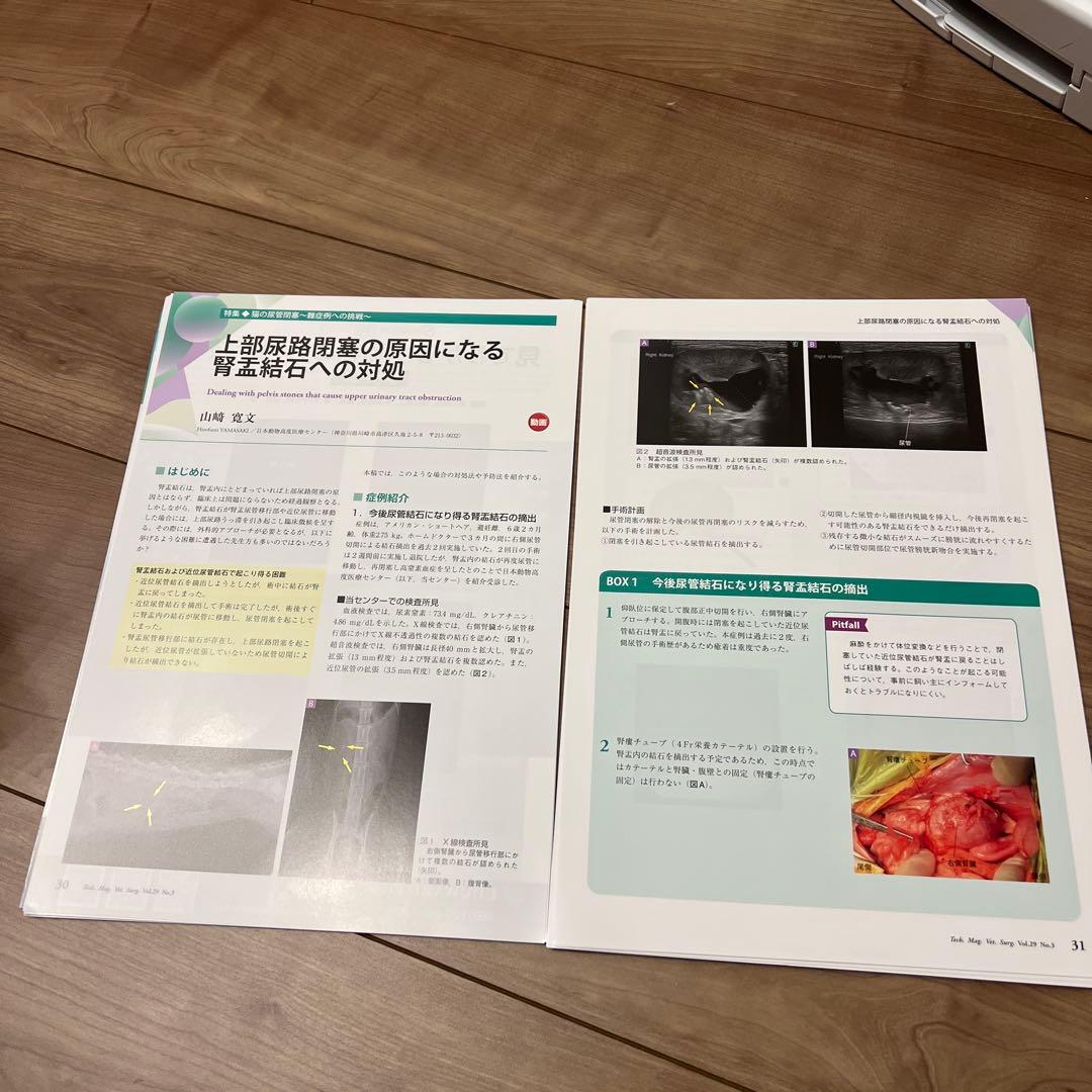 【裁断済み】SURGEON 170・171 まとめ売り