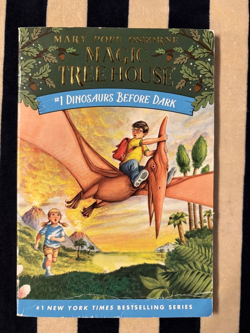 【英語多読】マジックツリーハウス #1〜24巻➕CD15枚セット/洋書/ボックス