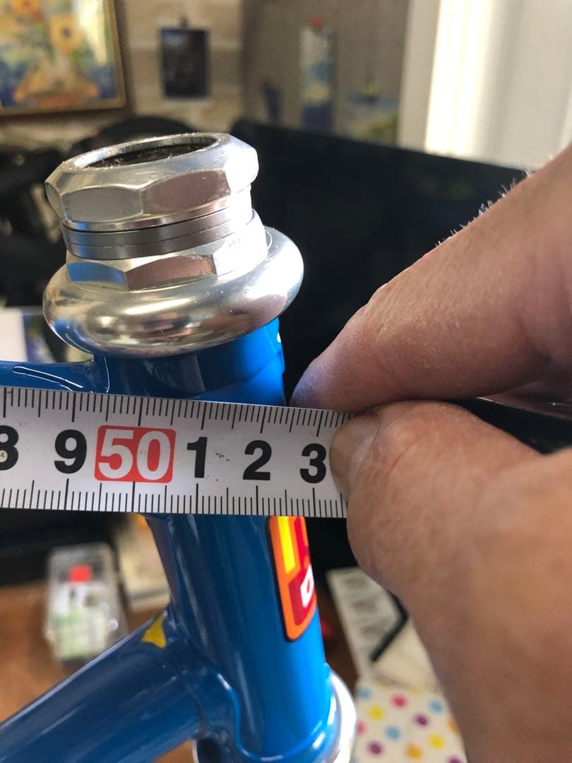 限定値下げ！超綺麗！NAGASAWA special ピストNJS 515mm