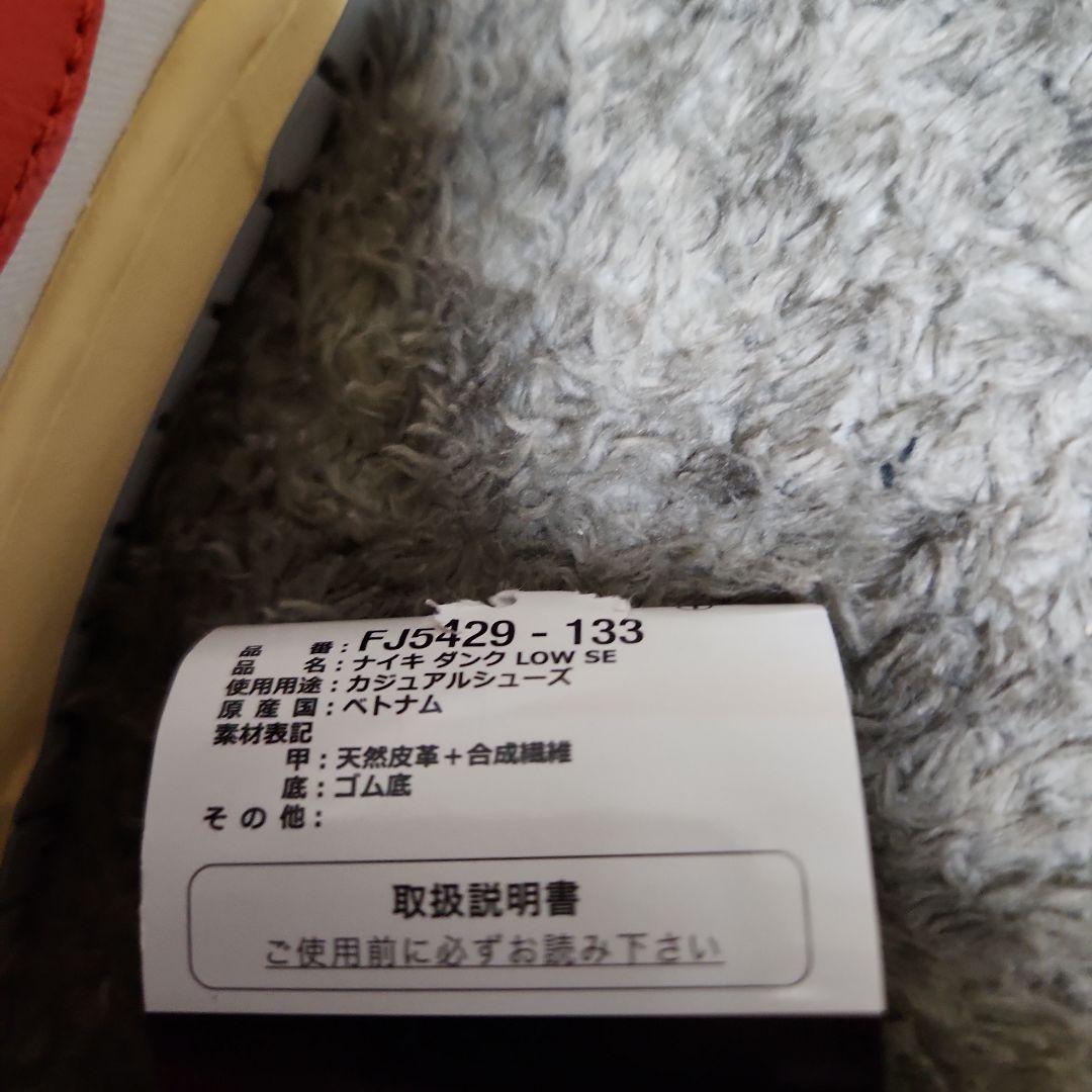 NIKEダンクローSE