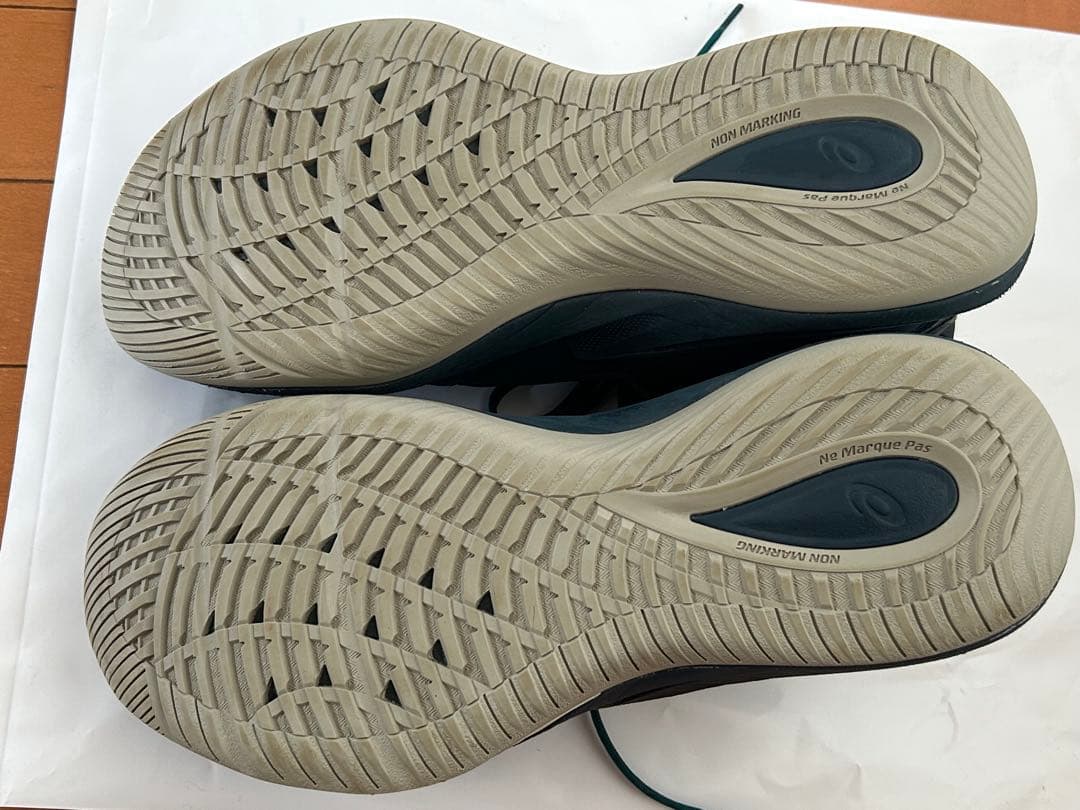 アシックス （ASICS）バッシュNOVA SURGE LOW 2 28.5cm