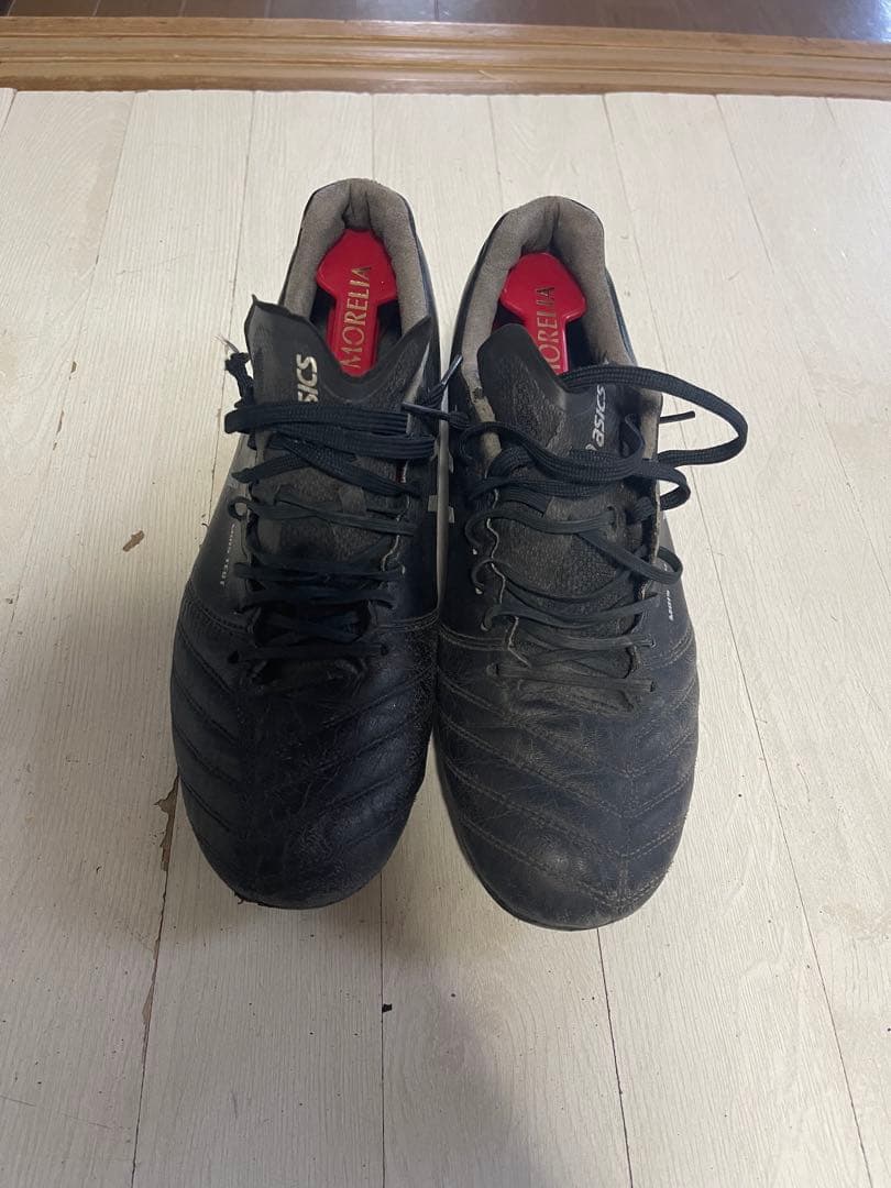 DSライトPRO 天然皮革 26cm