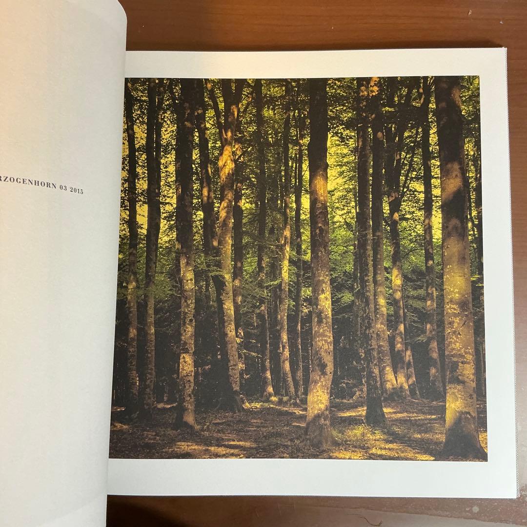 (初版 ) WOODLANDS: MAT HENNEK (洋書)