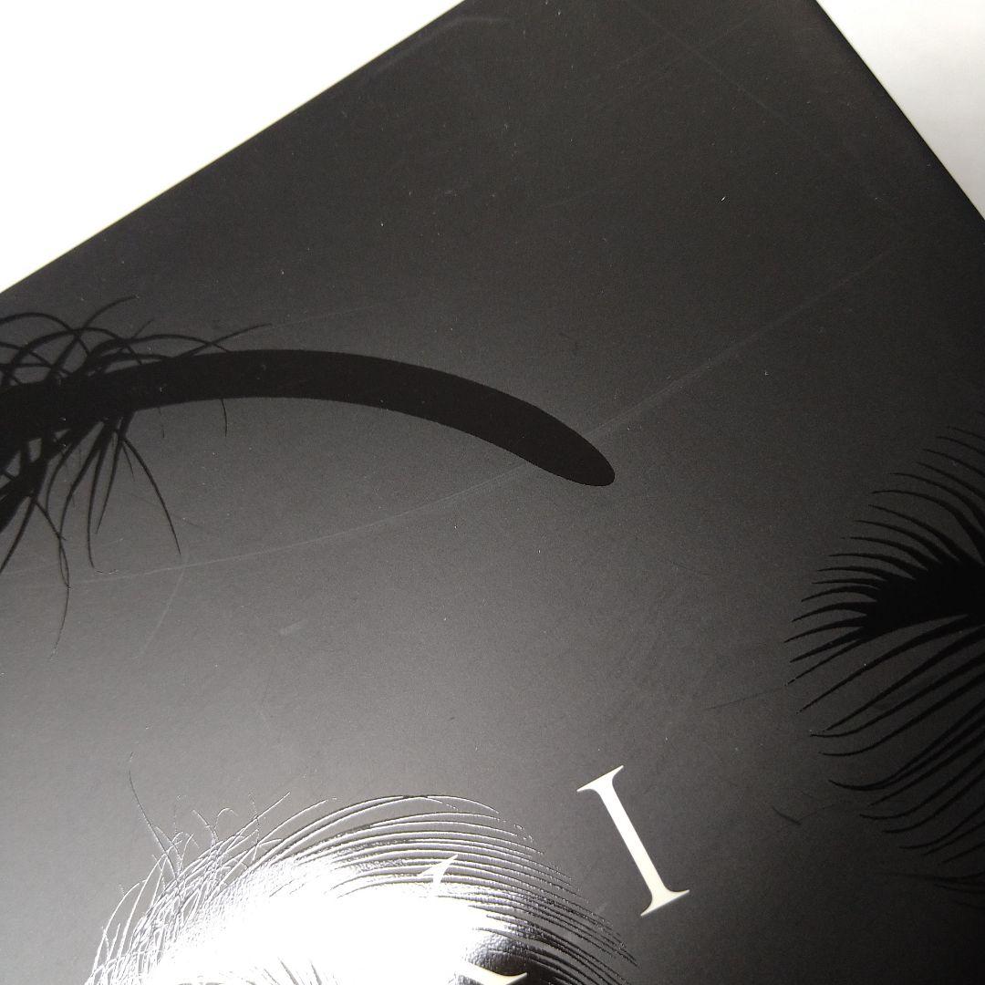 Phantasmagoria KISAKI 喪失 写真集 DVD V系