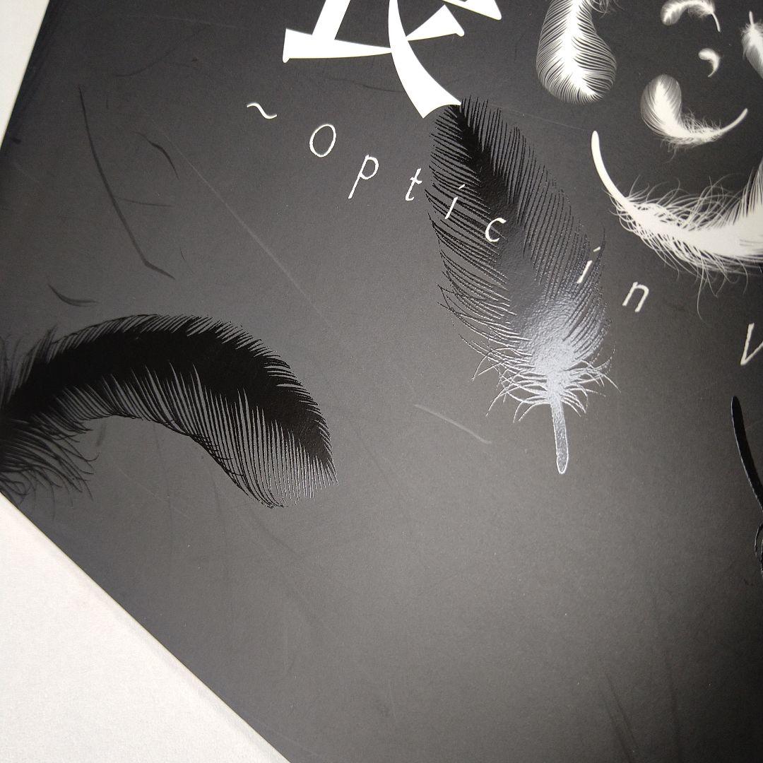 Phantasmagoria KISAKI 喪失 写真集 DVD V系