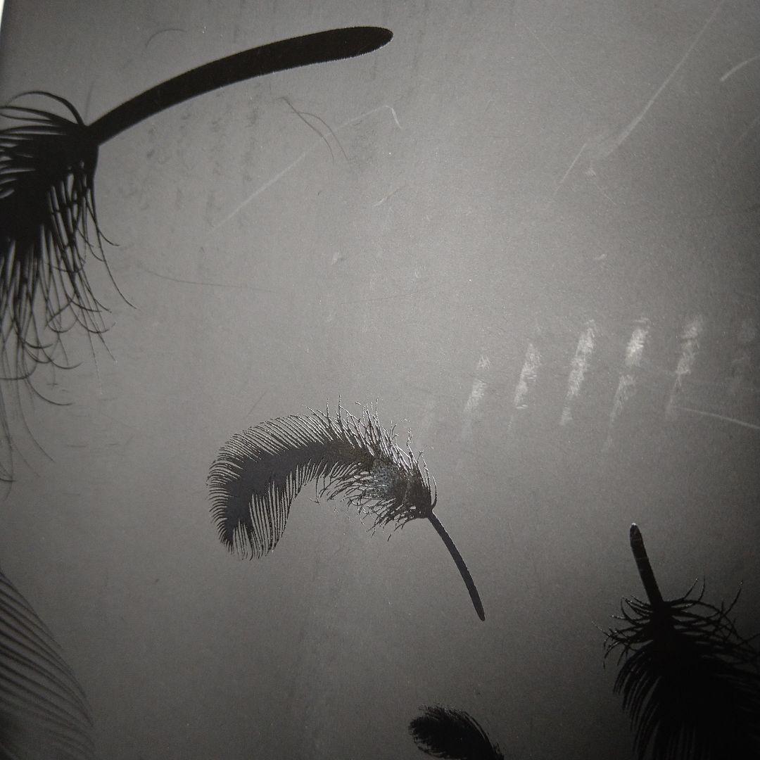 Phantasmagoria KISAKI 喪失 写真集 DVD V系