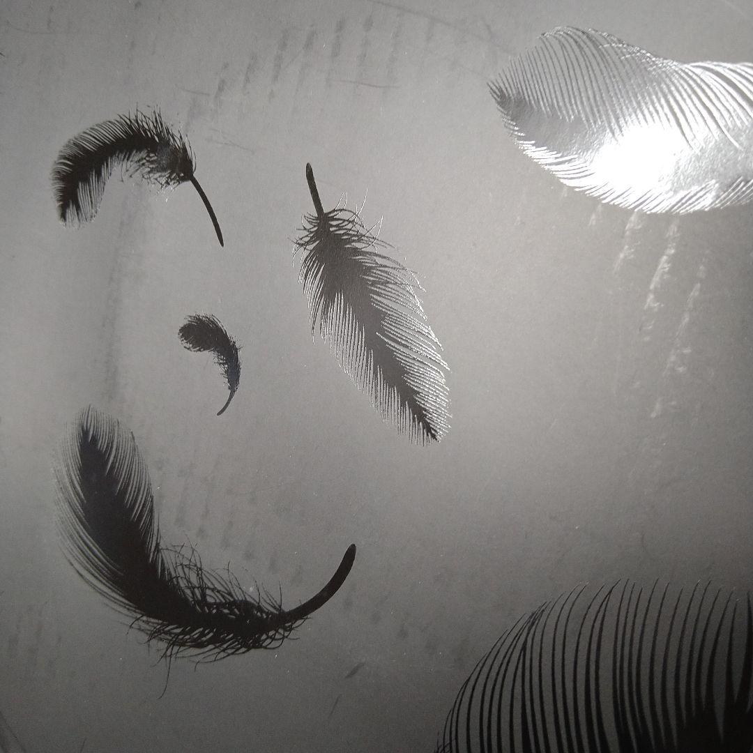 Phantasmagoria KISAKI 喪失 写真集 DVD V系