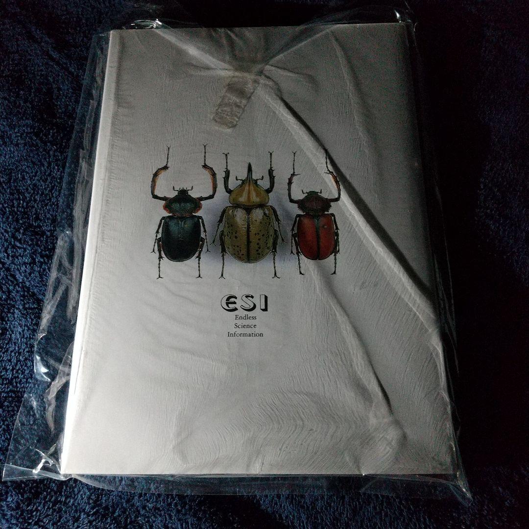 その他 Giant Beetles: Euchirinae - Dynastinae