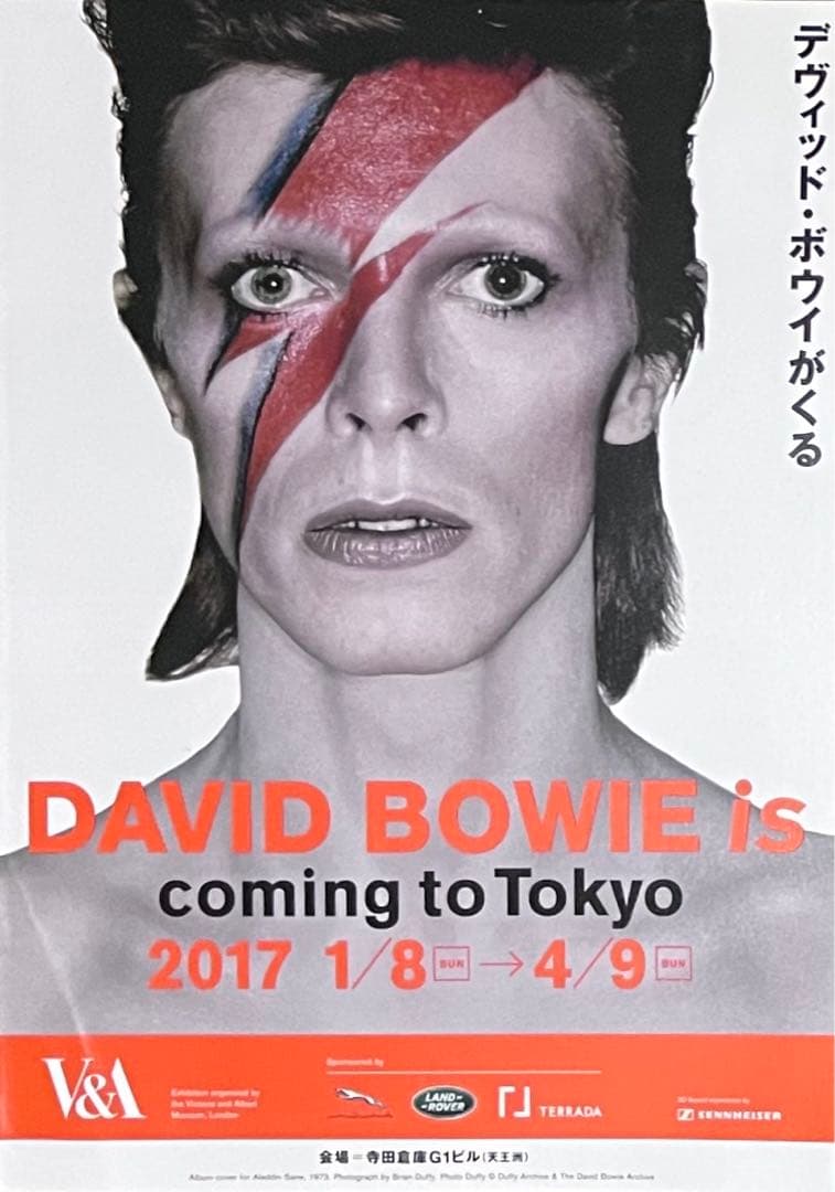 DAVID BOWIE BOX 10CD デヴィッド・ボウイ 未開封 紙ジャケ