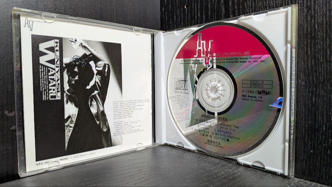 国安わたる PIERCING EYES