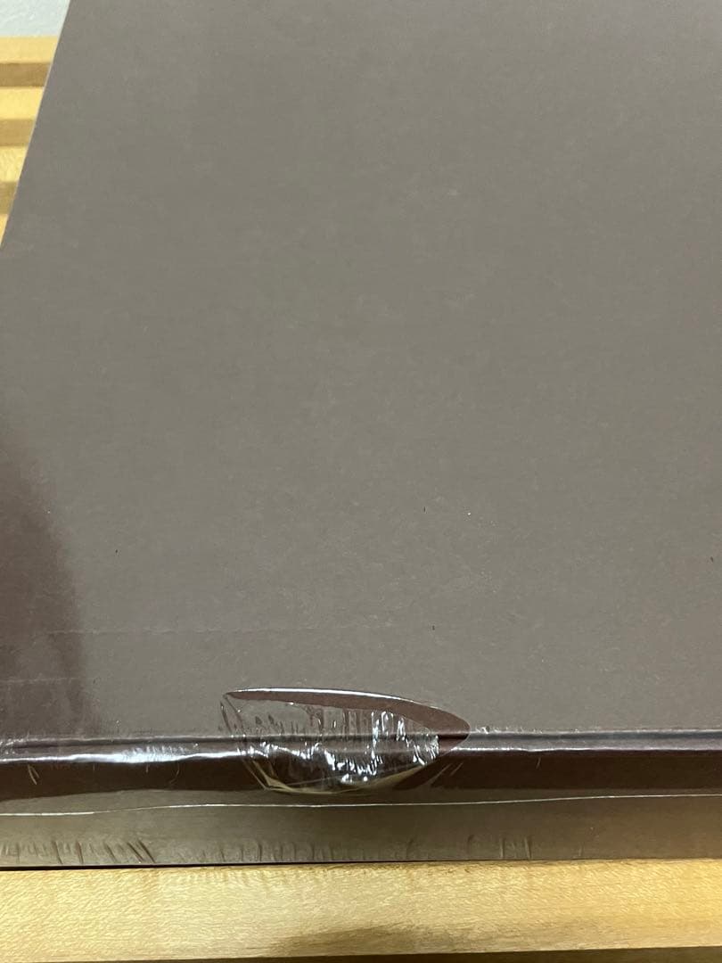 レア ブラウンバニー Brown Bunny映画 DVD ヴィンセント ギャロ