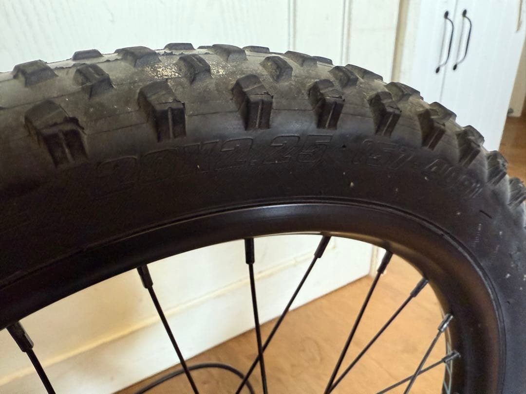 自転車本体 Cannondale Kids Cujo 20