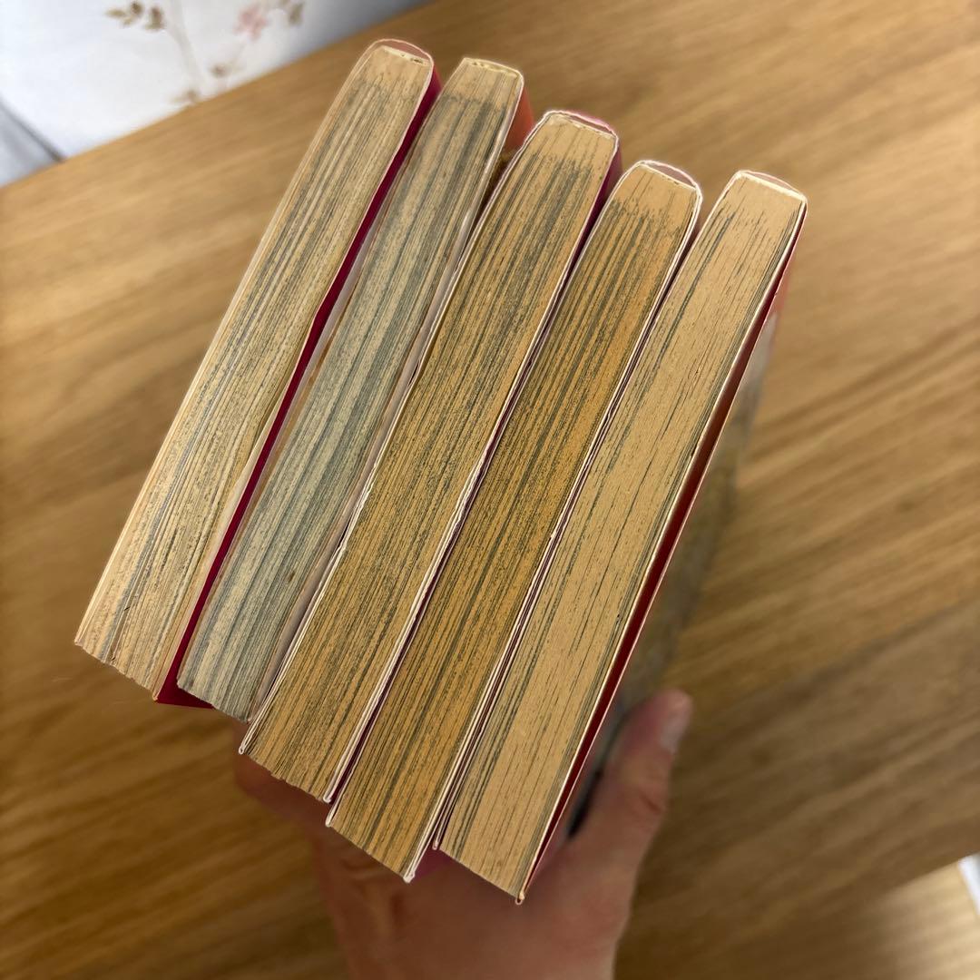 アマテラス 漫画セット