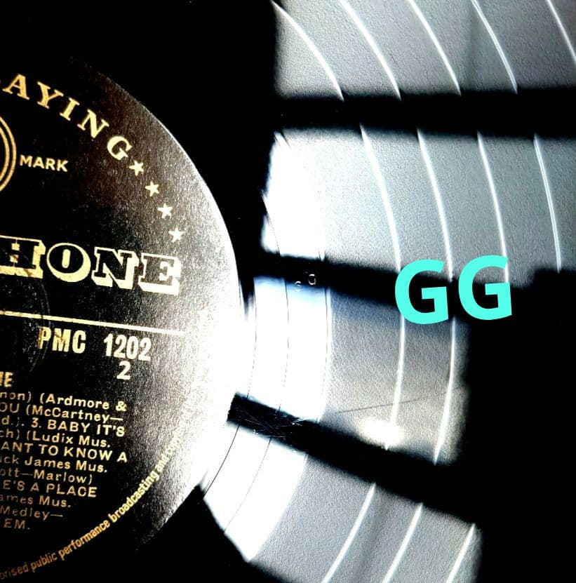 UK盤The Beatles Please Please Me