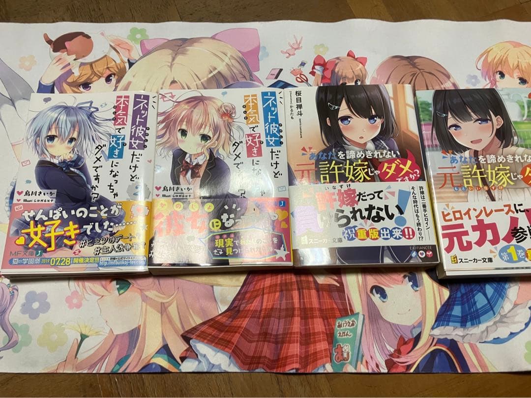 ライトノベルまとめ売り！