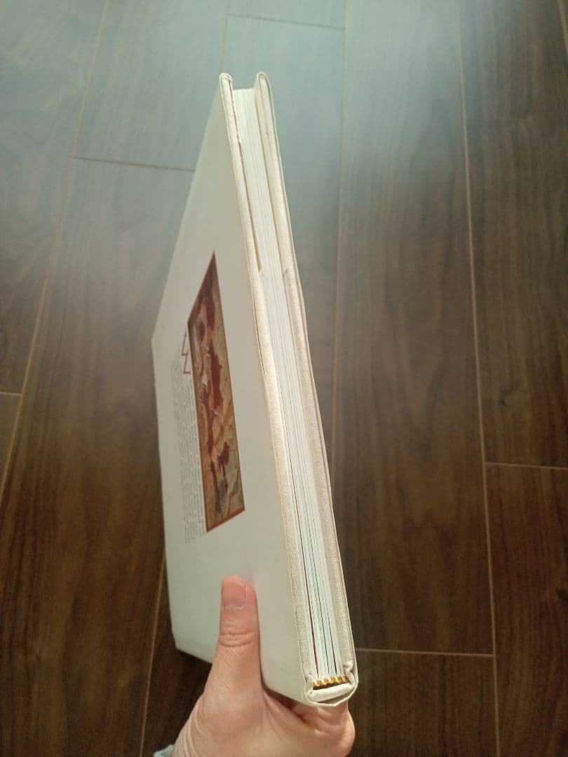 【りゅうおまとめ購入】The Shamans of Prehistory