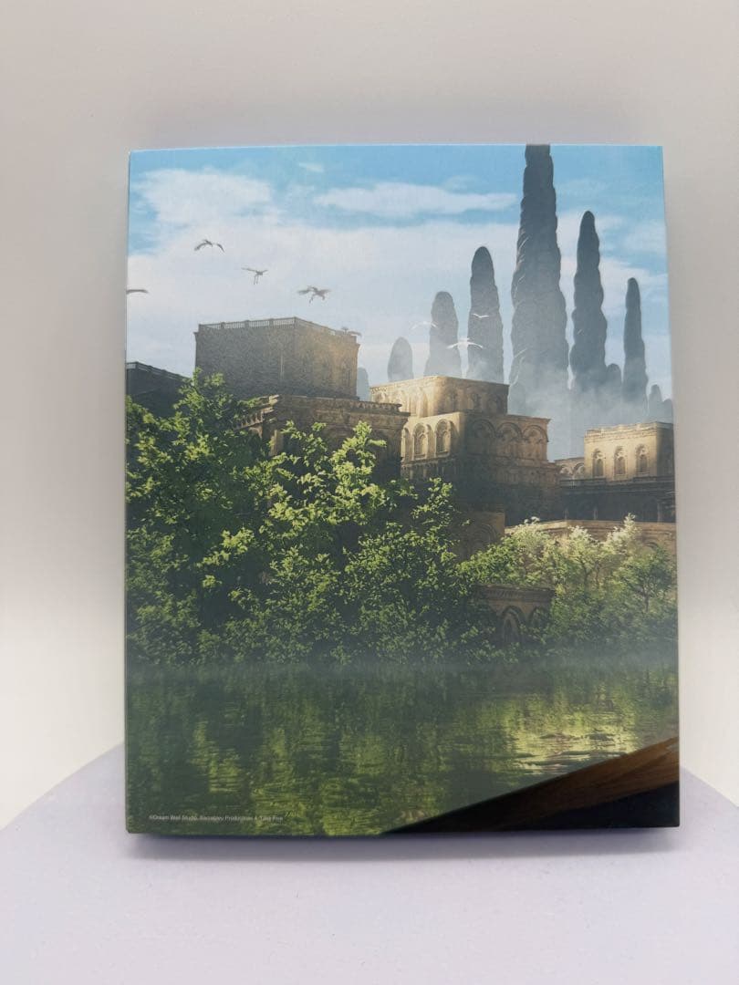 洋*史様 Flow 限定版blu-ray